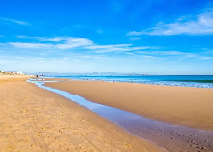 Bosque Playa Flamenca